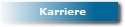 Karriere
